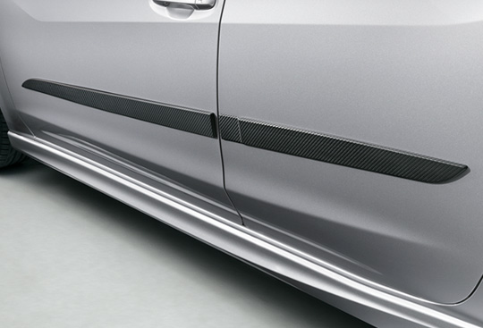 Body Side Moulding