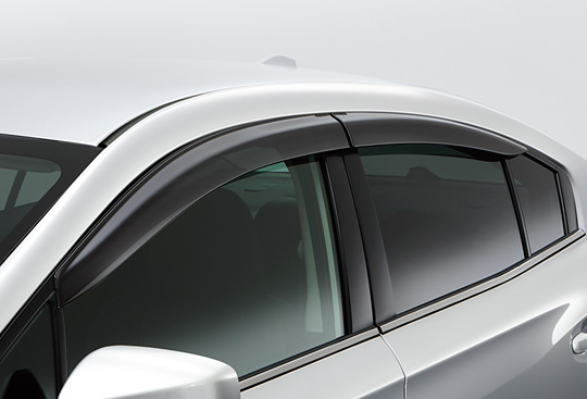 Door Visor