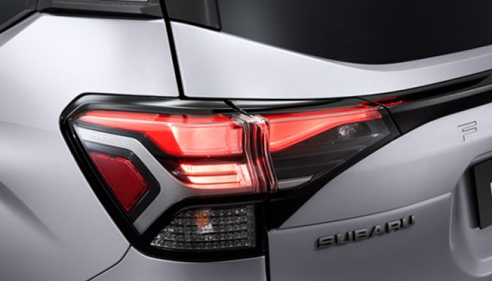 Rear Combination Lamps